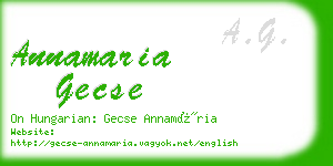 annamaria gecse business card